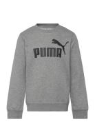 PUMA Ess No. 1 Logo Crew Tr B Grå