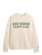 GANT Graphic C-Neck Kräm