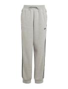 Adidas Originals Pants Grå