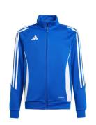 Adidas Performance Tiro24 Trjkty Blå