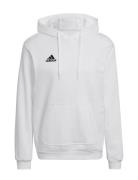 Adidas Performance Ent22 Hoody Vit