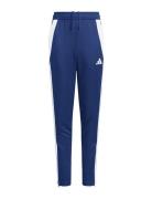 Adidas Performance Tiro24 Trptw Blå