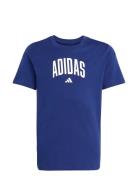 Adidas Sportswear J Colleg T Blå