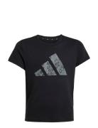 Adidas Sportswear G Anml Sj Bl T Svart