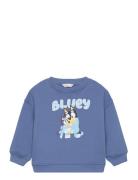 Mango Bluey-Print Sweatshirt Blå