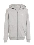 Adidas Originals Full Zip Hoodie Grå