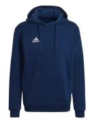 Adidas Performance Ent22 Hoody Marinblå