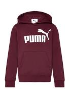 PUMA Ess No. 1 Logo Hoodie Fl B Burgundy