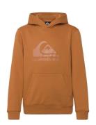 Quiksilver Comp Logo Hoodie Youth Brun