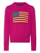 Ralph Lauren Kids Flag Cotton Crewneck Sweater Rosa