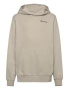 Champion Hooded Sweatshirt Beige