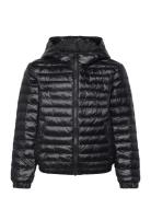 GANT Shiny Light Padded Jacket Svart