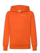 Champion Hooded Sweatshirt Orange
