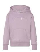 Champion Hooded Sweatshirt Rosa