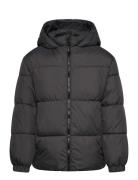 Mango Hood Quilted Coat Svart