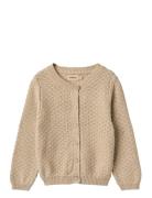 Wheat Knit Cardigan Magnella Beige