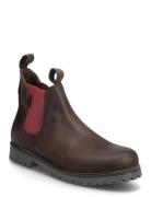 Marstrand Frans Marstrand Brun