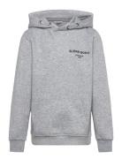 Björn Borg Borg Essential 1 Hoodie Grå