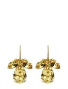 Caroline Svedbom Petite Timo Earringsgold Guld