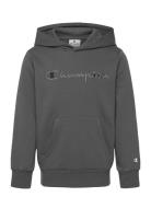 Champion Hooded Sweatshirt Grå