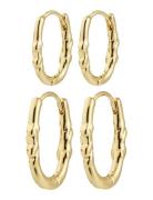 Pilgrim Sense Hoop Earrings, 2-In-1 Set, Gold-Plated Guld