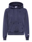 Champion Hooded Sweatshirt Marinblå