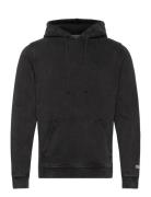 Champion Hooded Sweatshirt Svart
