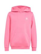 Adidas Originals Hoodie Rosa