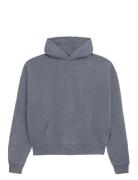 Prohibited Over D Hoodie Grå