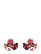 Caroline Svedbom Ana Earrings Gold Rosa