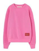 THE ANIMALS OBSERVATORY Brifht Pink Shark Sweatshirt Rosa