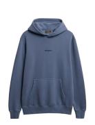 Superdry Micro Logo Hood Blå