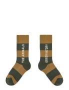 THE ANIMALS OBSERVATORY Brown Worm Socks Grön